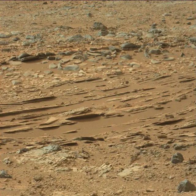 Sol 110: Mast Camera (Mastcam)