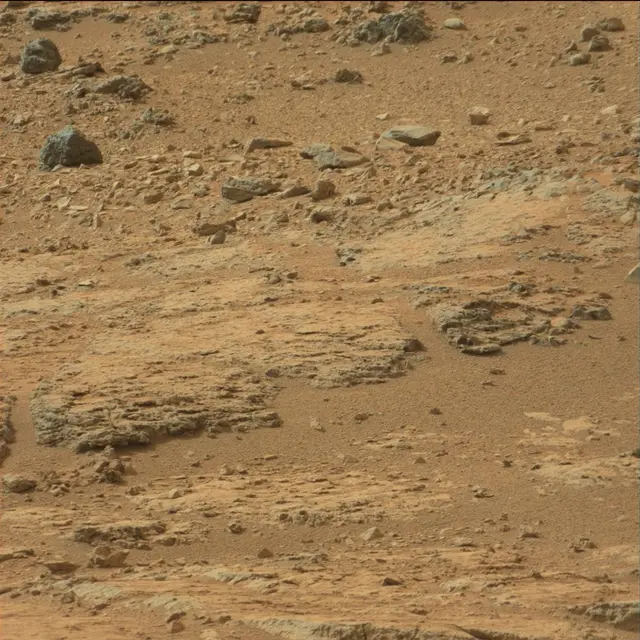 Sol 110: Mast Camera (Mastcam)