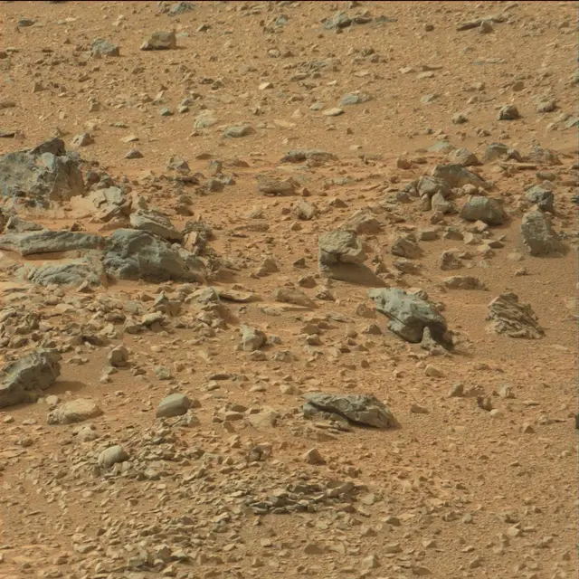 Sol 110: Mast Camera (Mastcam)