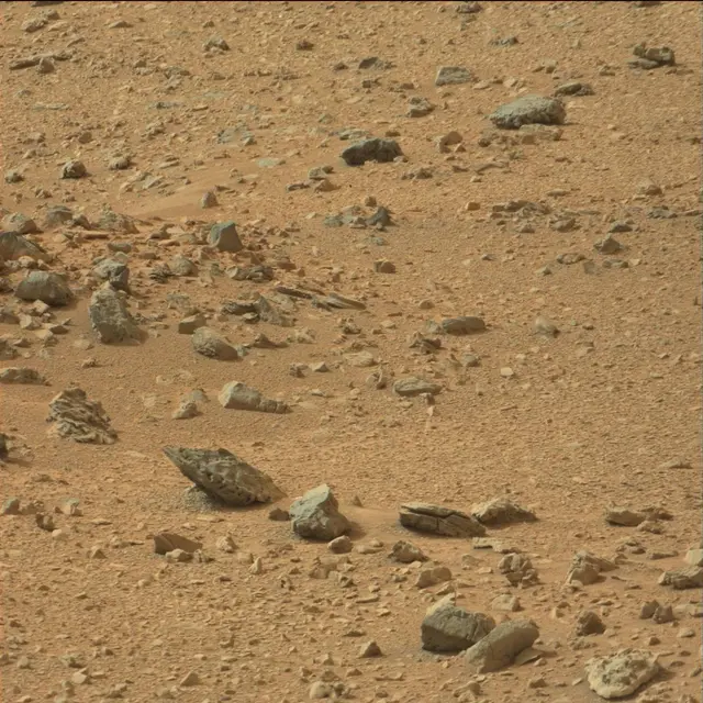 Sol 110: Mast Camera (Mastcam)