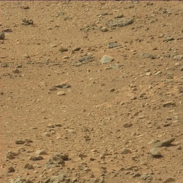 Sol 110: Mast Camera (Mastcam)