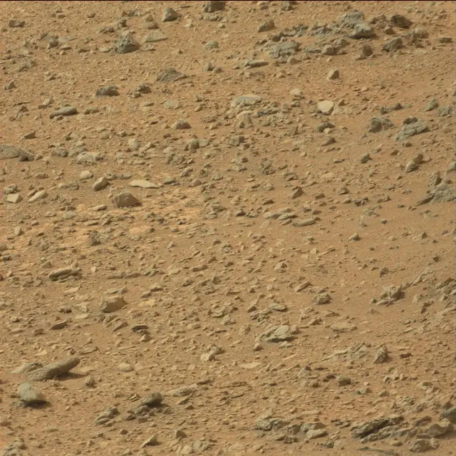 Sol 110: Mast Camera (Mastcam)
