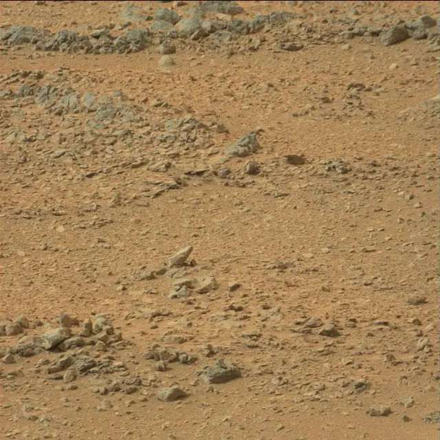 Sol 110: Mast Camera (Mastcam)