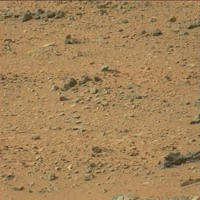 Sol 110: Mast Camera (Mastcam)