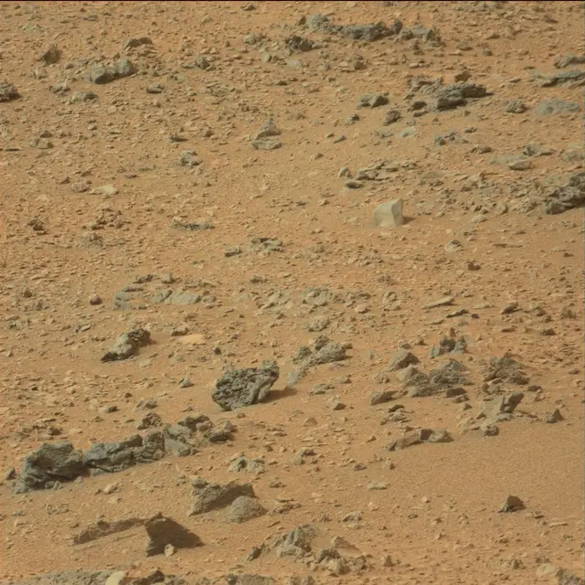 Sol 110: Mast Camera (Mastcam)