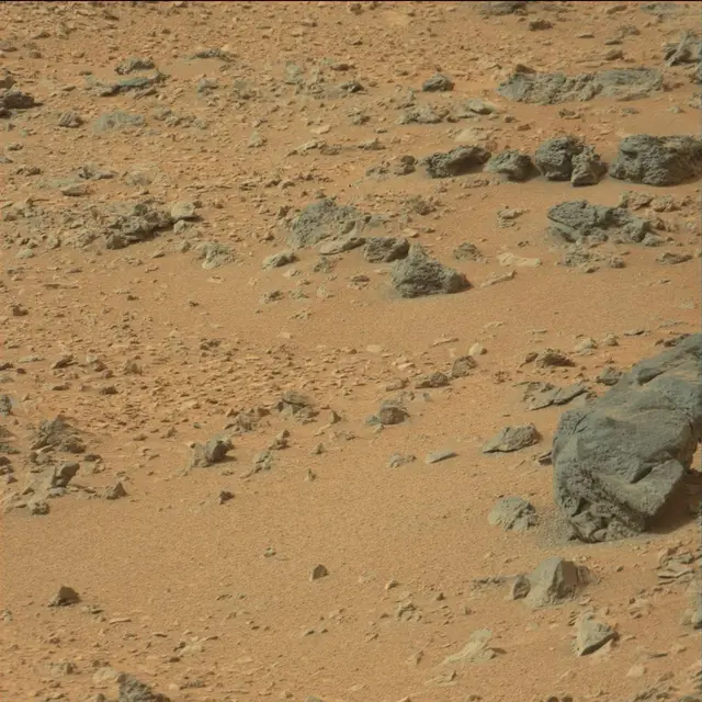 Sol 110: Mast Camera (Mastcam)