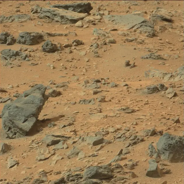 Sol 110: Mast Camera (Mastcam)