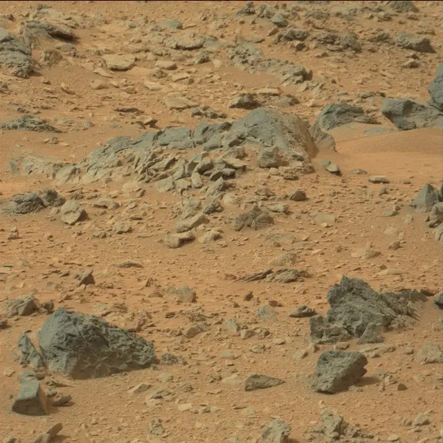 Sol 110: Mast Camera (Mastcam)