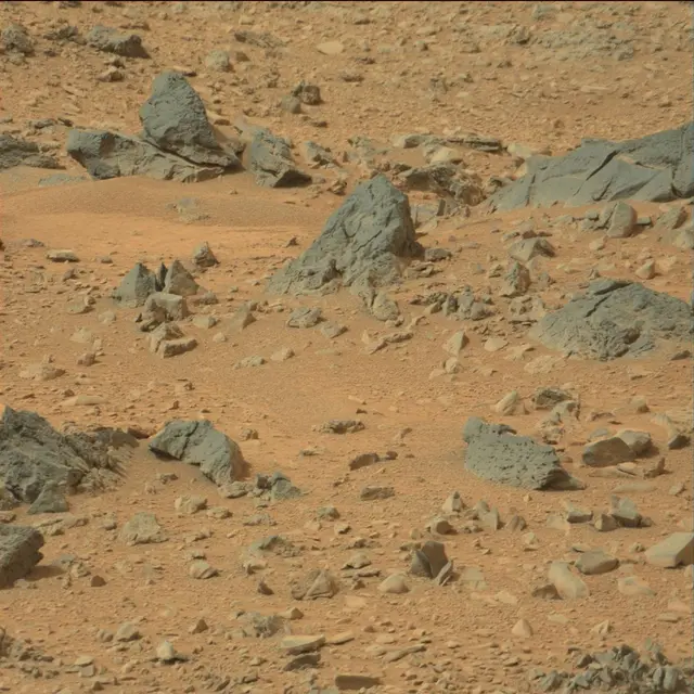 Sol 110: Mast Camera (Mastcam)