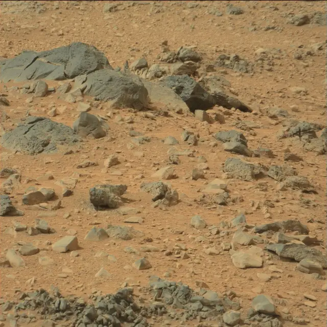 Sol 110: Mast Camera (Mastcam)