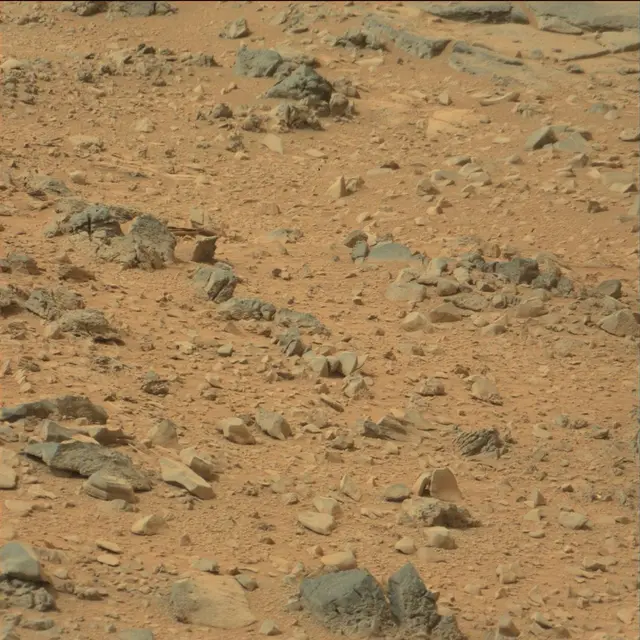 Sol 110: Mast Camera (Mastcam)