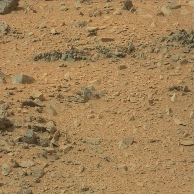 Sol 110: Mast Camera (Mastcam)