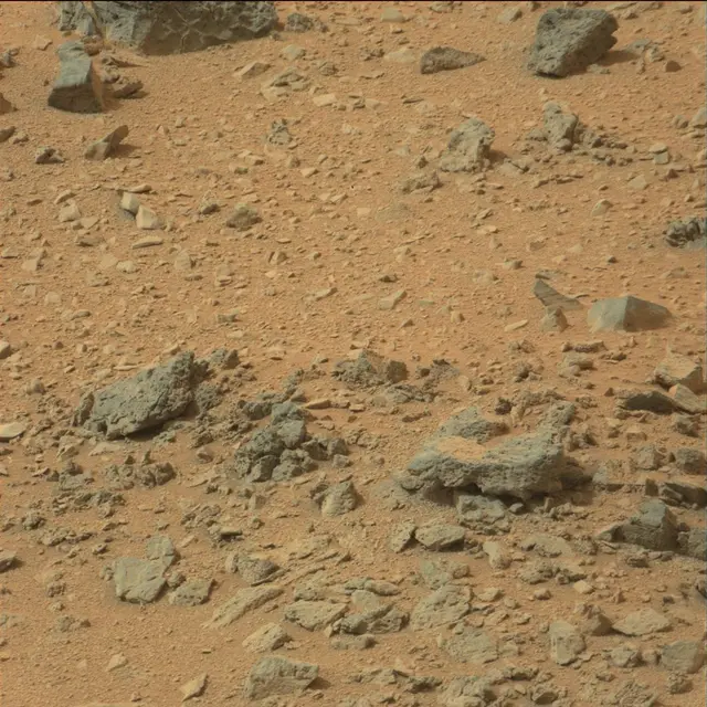 Sol 110: Mast Camera (Mastcam)