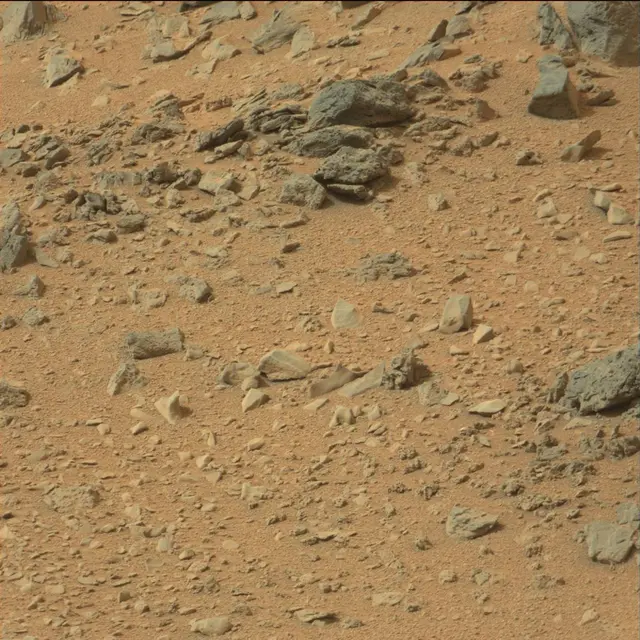 Sol 110: Mast Camera (Mastcam)