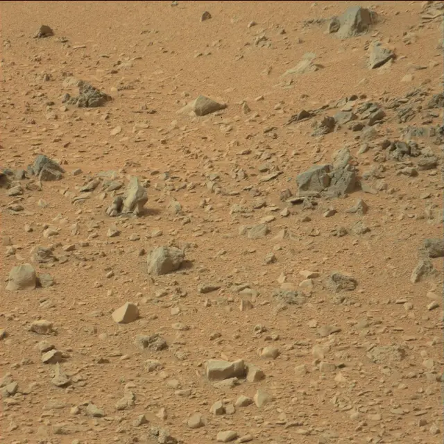 Sol 110: Mast Camera (Mastcam)