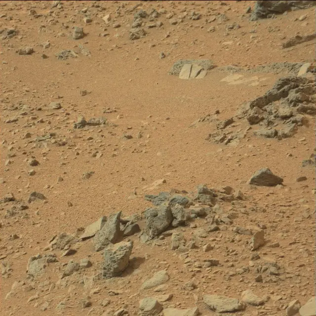 Sol 110: Mast Camera (Mastcam)