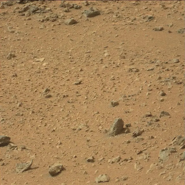 Sol 110: Mast Camera (Mastcam)