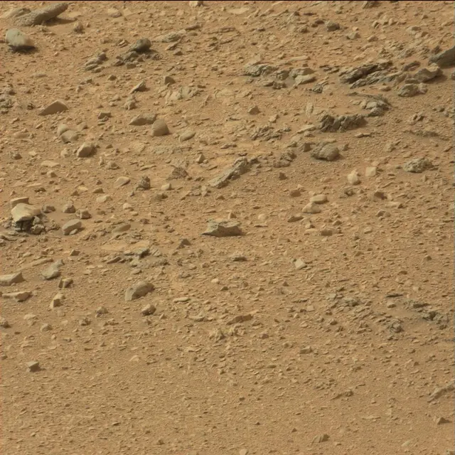 Sol 110: Mast Camera (Mastcam)