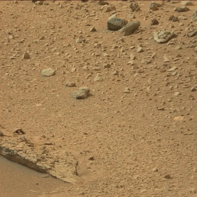 Sol 110: Mast Camera (Mastcam)