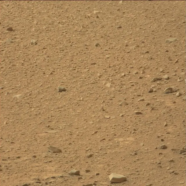Sol 110: Mast Camera (Mastcam)