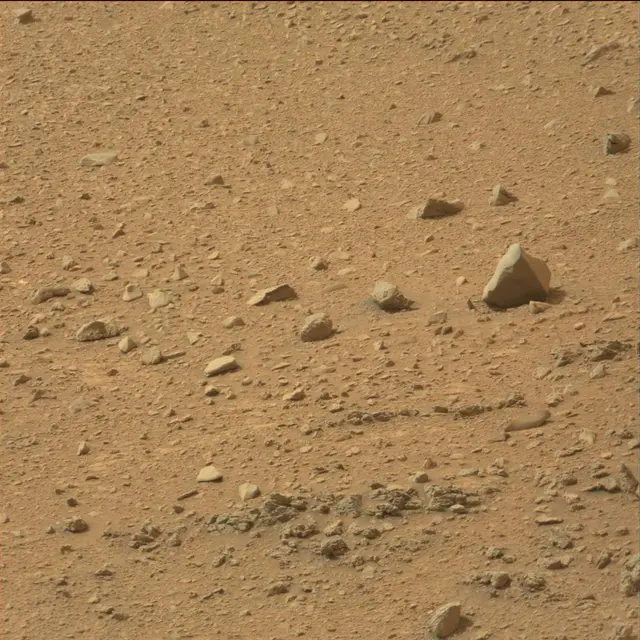 Sol 110: Mast Camera (Mastcam)