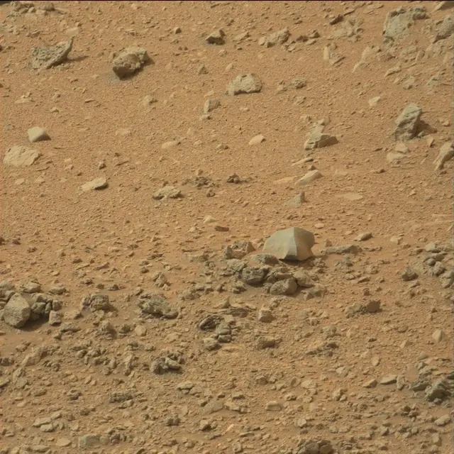 Sol 110: Mast Camera (Mastcam)