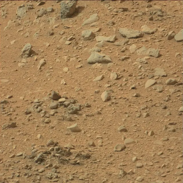 Sol 110: Mast Camera (Mastcam)