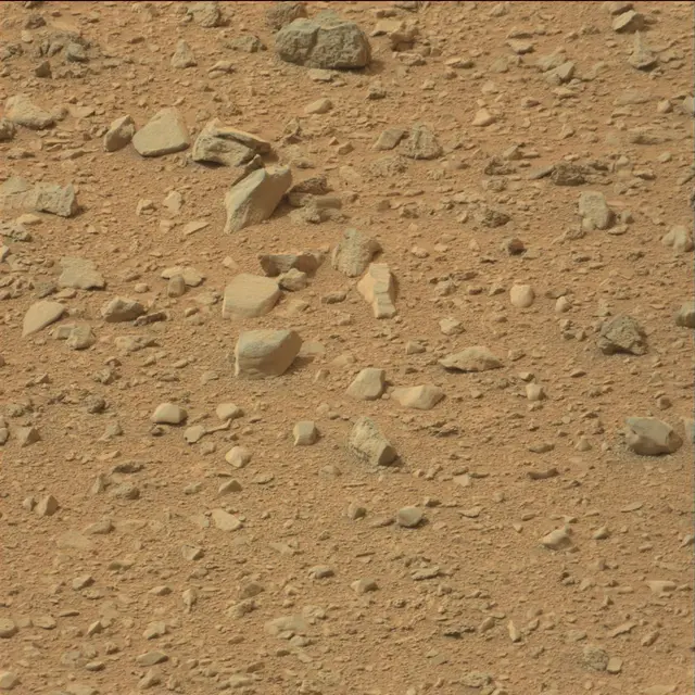Sol 110: Mast Camera (Mastcam)