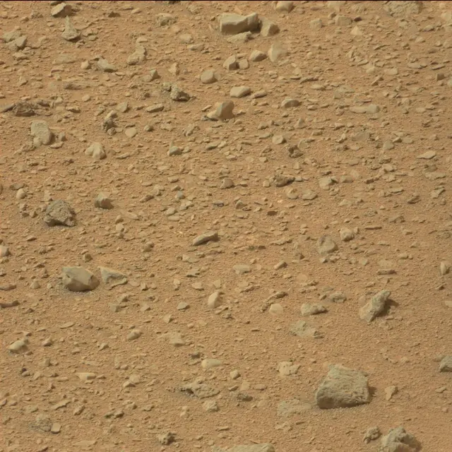 Sol 110: Mast Camera (Mastcam)