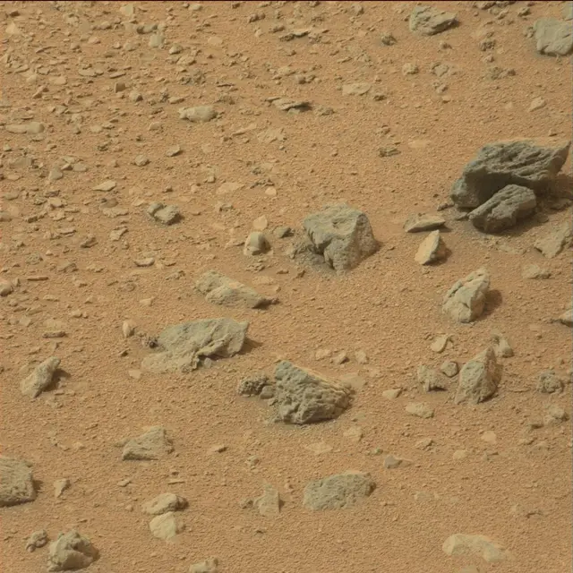 Sol 110: Mast Camera (Mastcam)