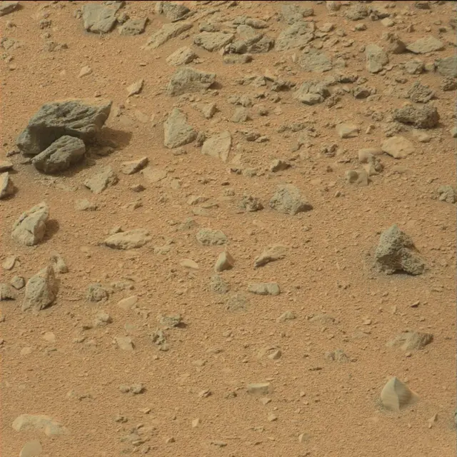 Sol 110: Mast Camera (Mastcam)