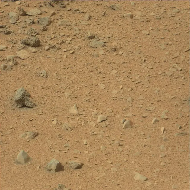Sol 110: Mast Camera (Mastcam)