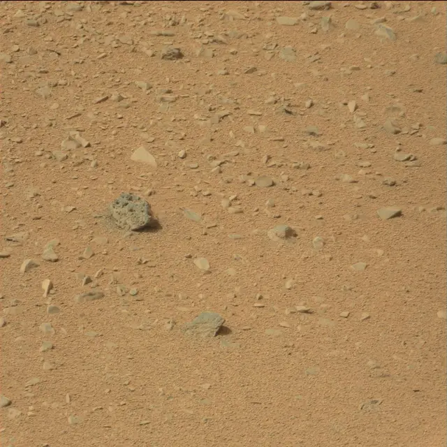 Sol 110: Mast Camera (Mastcam)