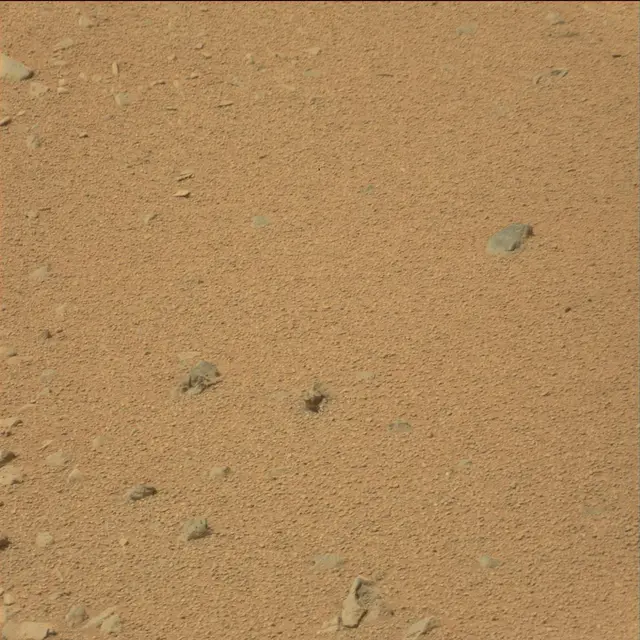 Sol 110: Mast Camera (Mastcam)