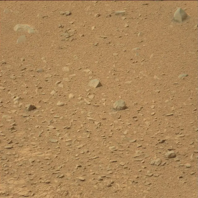 Sol 110: Mast Camera (Mastcam)
