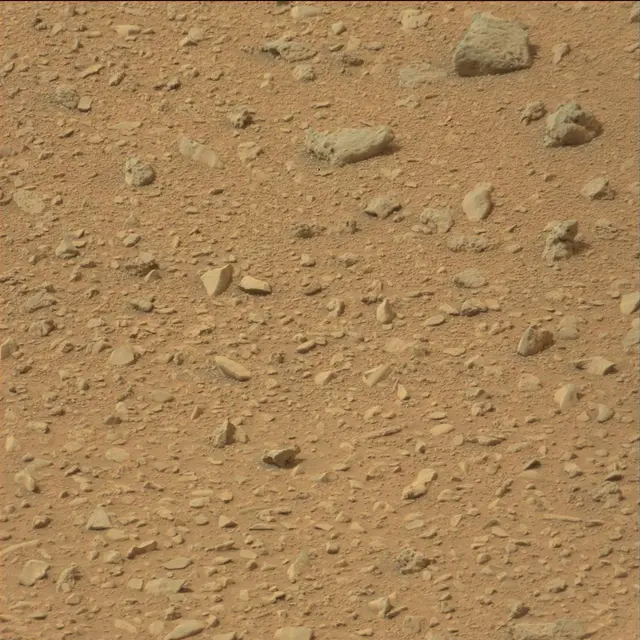 Sol 110: Mast Camera (Mastcam)