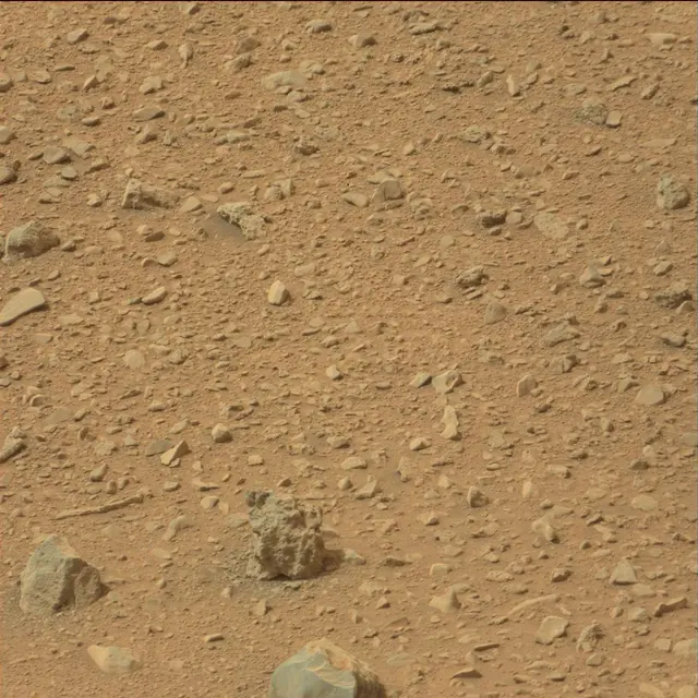 Sol 110: Mast Camera (Mastcam)