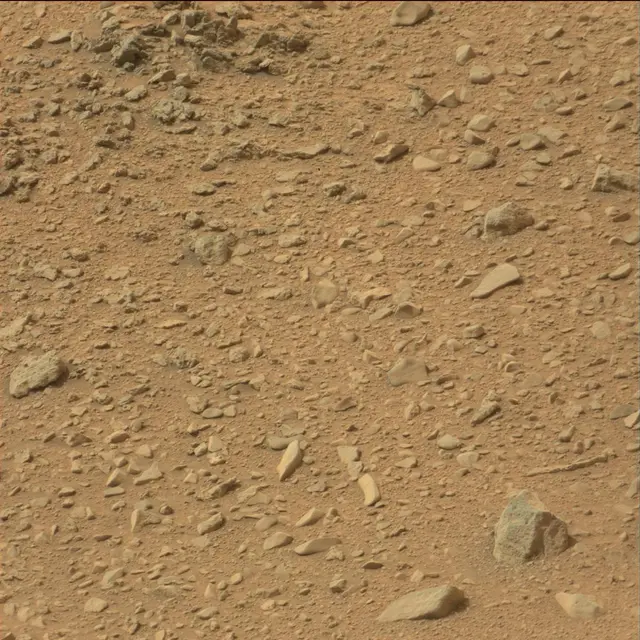 Sol 110: Mast Camera (Mastcam)
