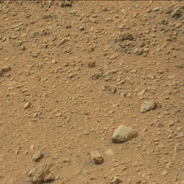 Sol 110: Mast Camera (Mastcam)