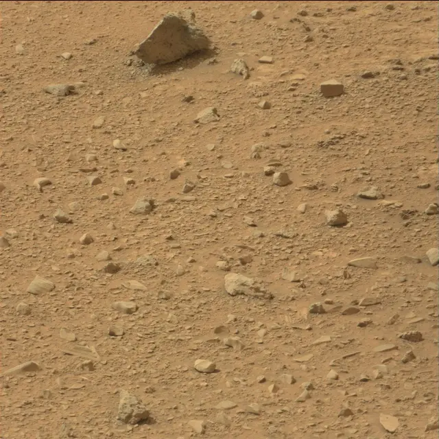 Sol 110: Mast Camera (Mastcam)
