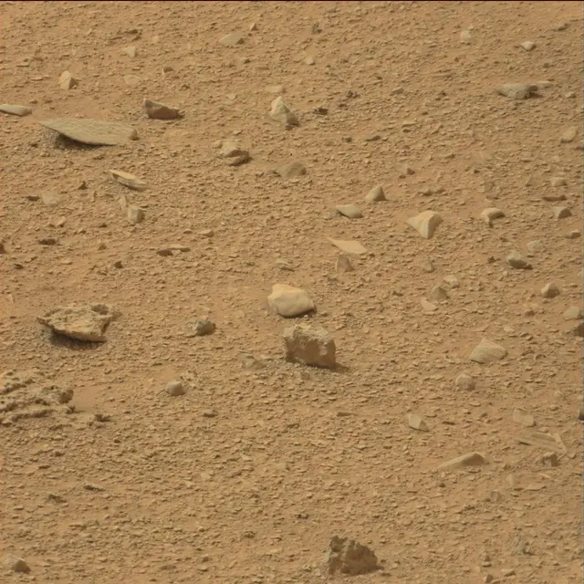 Sol 110: Mast Camera (Mastcam)