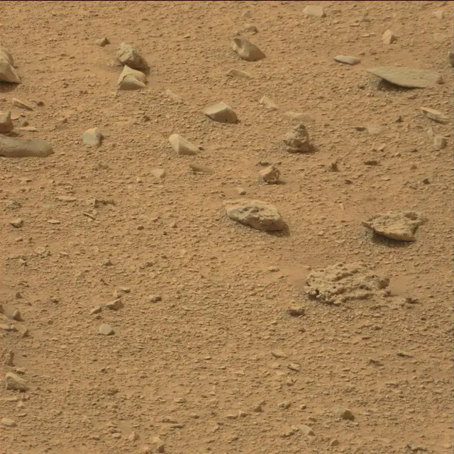 Sol 110: Mast Camera (Mastcam)