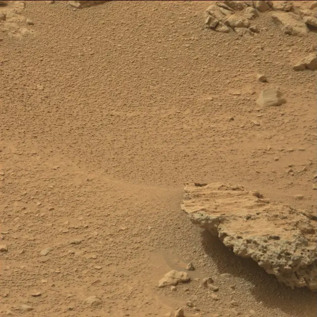 Sol 110: Mast Camera (Mastcam)
