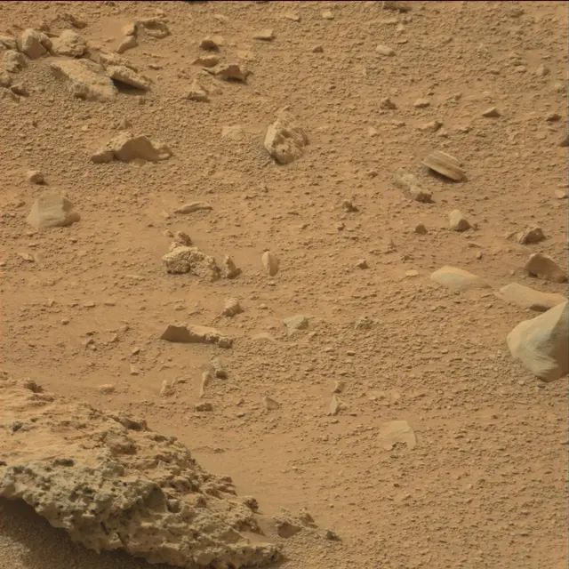Sol 110: Mast Camera (Mastcam)