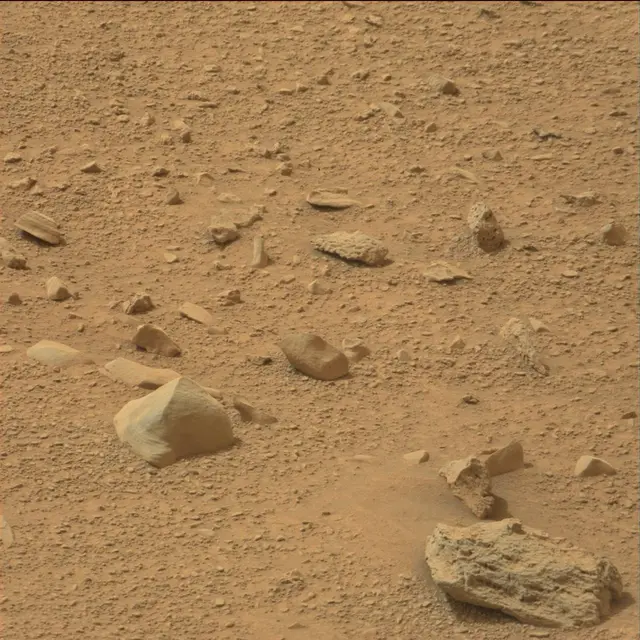 Sol 110: Mast Camera (Mastcam)