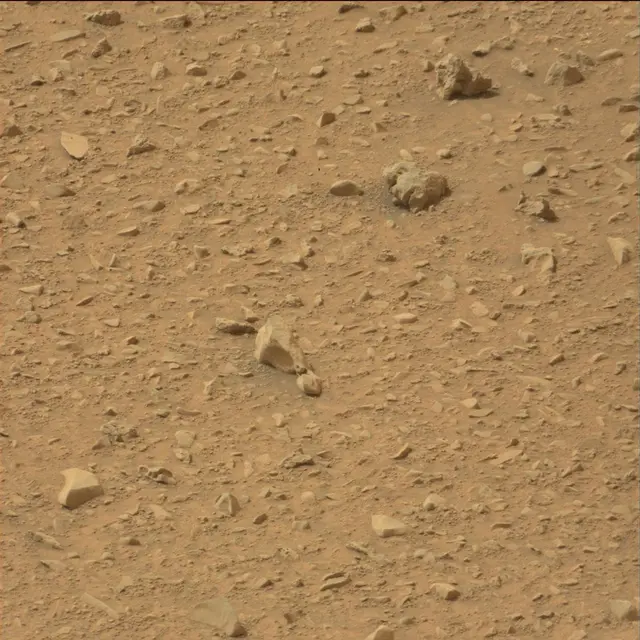 Sol 110: Mast Camera (Mastcam)