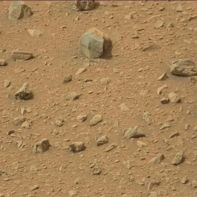 Sol 110: Mast Camera (Mastcam)