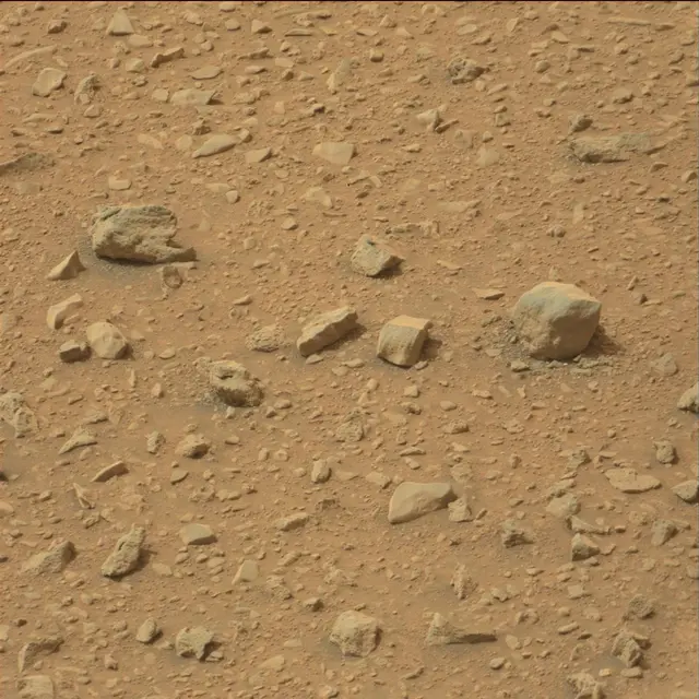 Sol 110: Mast Camera (Mastcam)