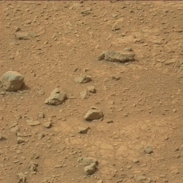 Sol 110: Mast Camera (Mastcam)