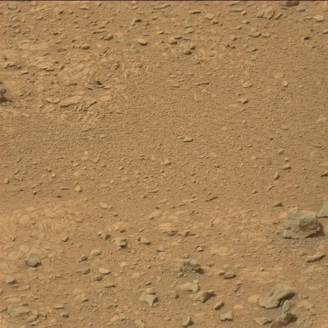Sol 110: Mast Camera (Mastcam)